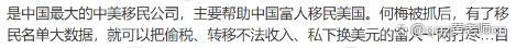 国内移民中介老板被抓，海外移民或将严查！正规途径移民更安全！