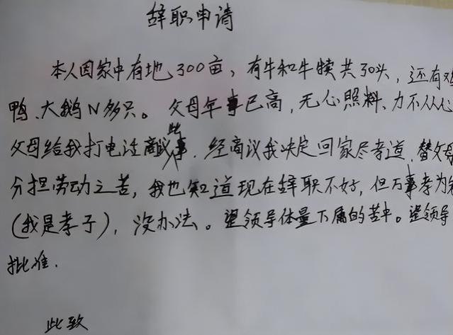 00后“辞职信”走红，辞职理由言简意赅，老板：多少给我留点面子