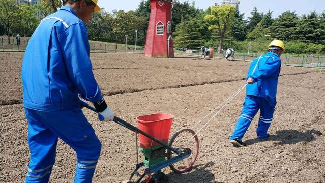 让城市老人来农村住，农村老人去城市领退休金