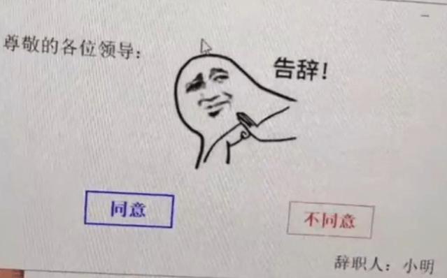 女程序员低情商辞职信走红，一句场面话没有，老板看后无言以对