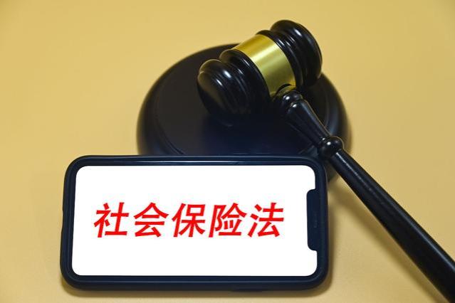 受到刑事处罚的人还能缴纳养老保险，享受养老金待遇吗？