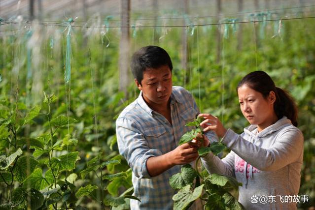 47岁男保姆照顾70岁的老太太：虽然工资5千，但我却越干越有劲