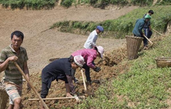 每月只领100养老金农民，退休问题迎来好消息，快来瞧瞧！