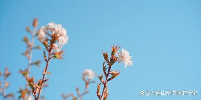 儿女的啃老痛苦：陈阿姨的退休生活之痛