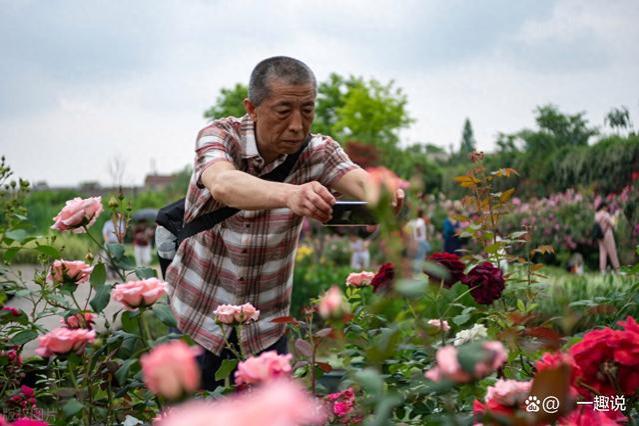 我存款100万退休金5千，花钱请女儿照顾老伴，工资6千，奖金另算