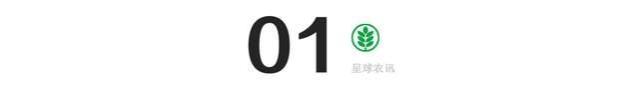 10月，关乎60岁农村老人养老金发放，这三件事一定要提前知道