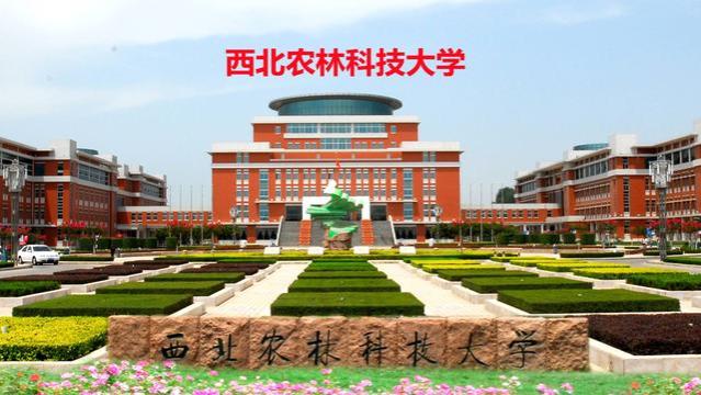 西北农林科技大学，本科就业究竟如何？