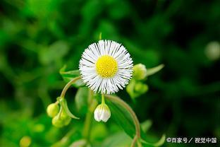 人到中年，挥霍了三种“资产”的男人，晚年下场大多挺惨