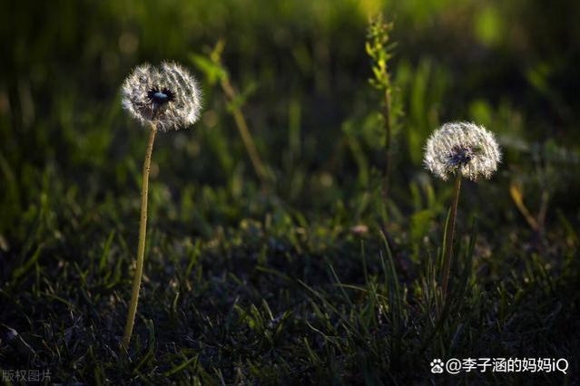 人到中年，再有钱，也不要和三类人来往，没意义