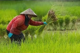 太好了！山东试点：农民不再靠天吃饭，每月领工资成现实！