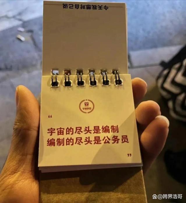 宇宙的尽头是考公：公务员梦与现实的交织