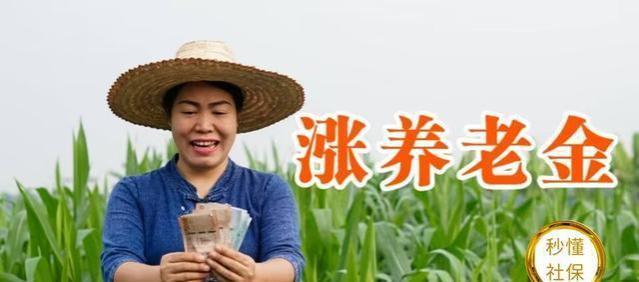 元旦节前，社保与养老金迎来四个“大动作”，对你有何影响？看看