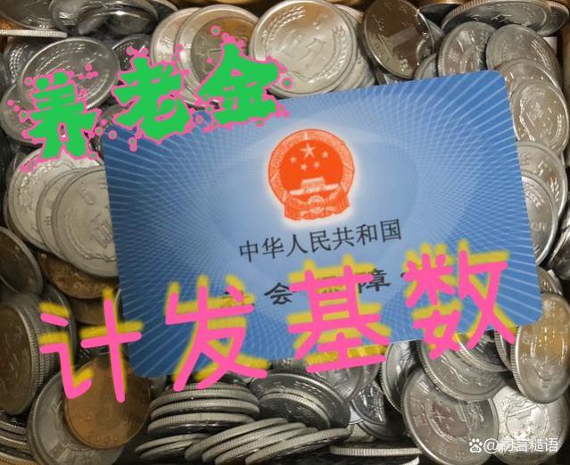 吉林2023年的养老金计发基数有8个