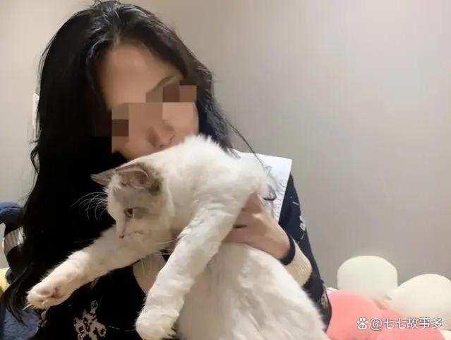 “毕业后不上班”，部分江浙沪独生女的就业选择，普通人坐不住了