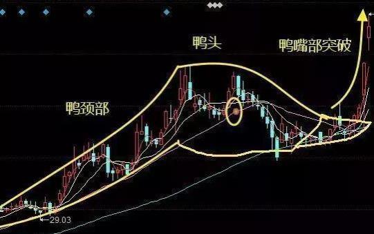 股票前一天拉涨停，第二天却回调，主力没赚钱就撤了吗？值得细品