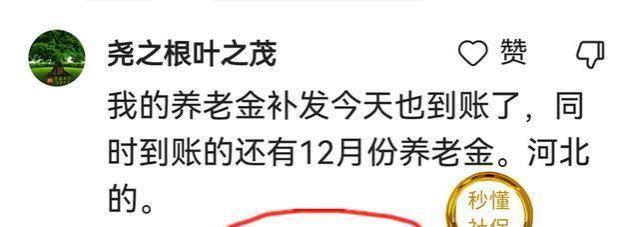 元旦节前，社保与养老金迎来四个“大动作”，对你有何影响？看看