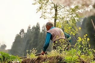 为了儿子还债，已经60岁的我南下打工，却面临无人要的尴尬局面