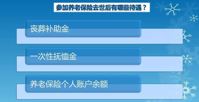 2024年，这五项社会保险养老金津贴是否有望实现5%的增长？