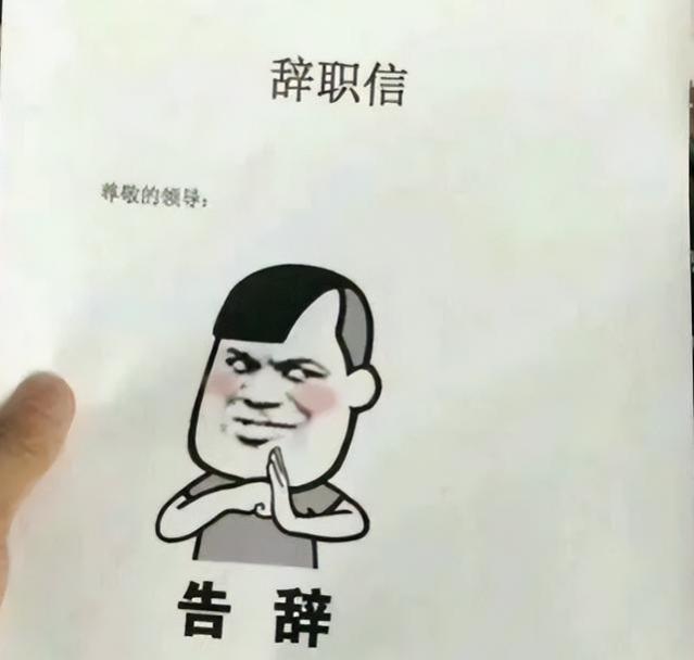 “有人养我，不上班了”，00后辞职信走红，老板回复格局拉满