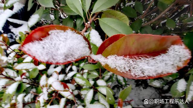 职场上，做个“明智的辞职人”