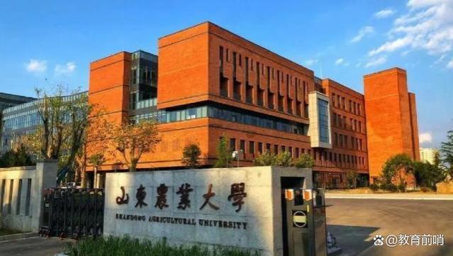 何种大学更适合孩子？就业前景真的重要吗？