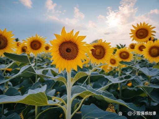 我发现，退休后喜欢参加同学聚会的，大多是这几种人