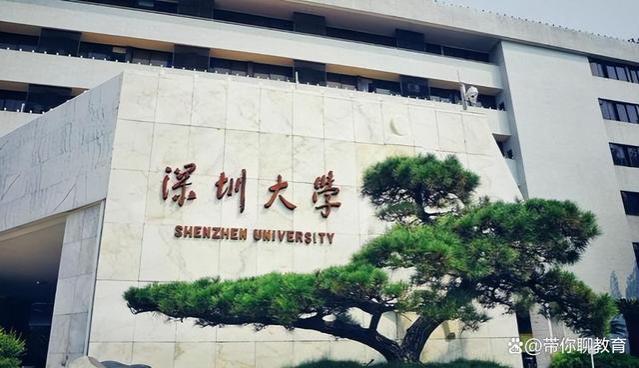 深圳大学教师离职现实困境浅析