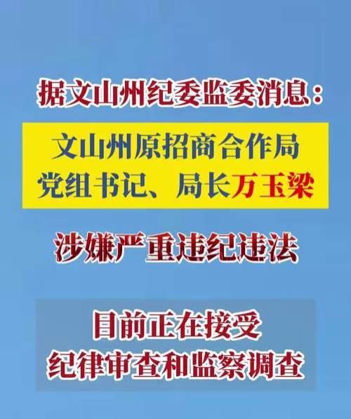 无视中央规定，文山州原招商合作局党组书记、局长被开除党籍