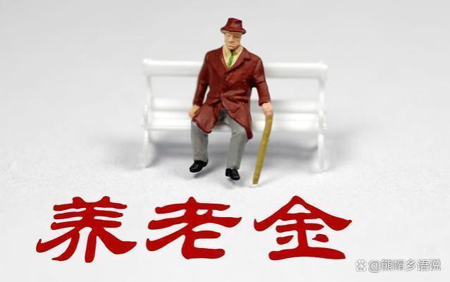 养老金补发到账！今年2月刚退休，额外收入预测