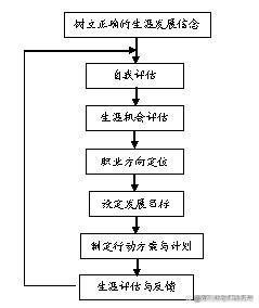 职业生涯的基本流程有哪几个步骤？