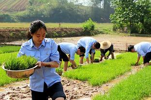 “首日上班就能看出家境”，体制内领导总结应届生类型，谁中计了