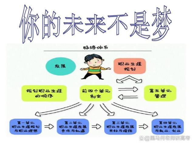 职业生涯的基本流程有哪几个步骤？