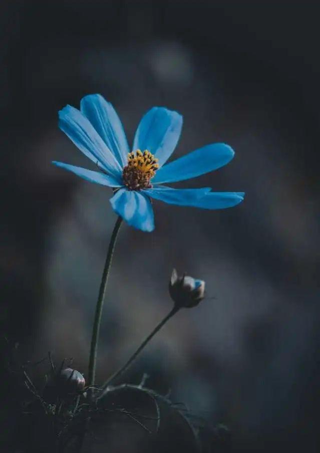 彩虹之门：一部《繁花》，讲透了人际关系的底层逻辑