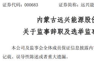 内蒙古远兴能源股份有限公司非职工监事高志成辞职