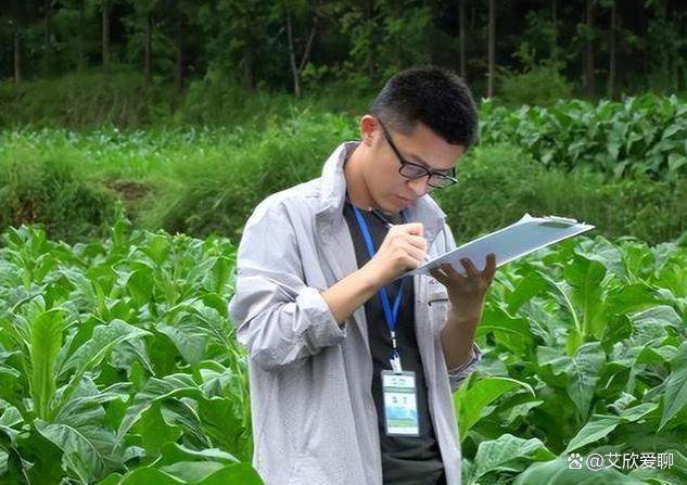 求职香饽饽烟草公司，年薪破20万，普通毕业生难觅机会