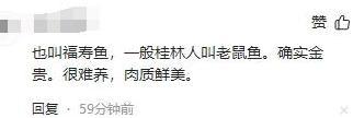 闹大了！小冻梨含泪被害后续，整个桂林都受连累，店老板悔不当初