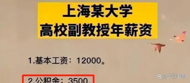 现实太狠！上海985副教授晒年薪，公积金超过打工人月薪！