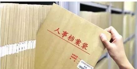 全国干部人事档案审核任免专项：确保职场决策准确公正