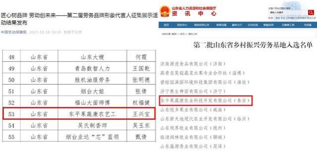 东平县：七项工作跑出就业人才“加速度”