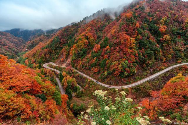 在职场中，想打造“权威”标签，就要从这几点出发