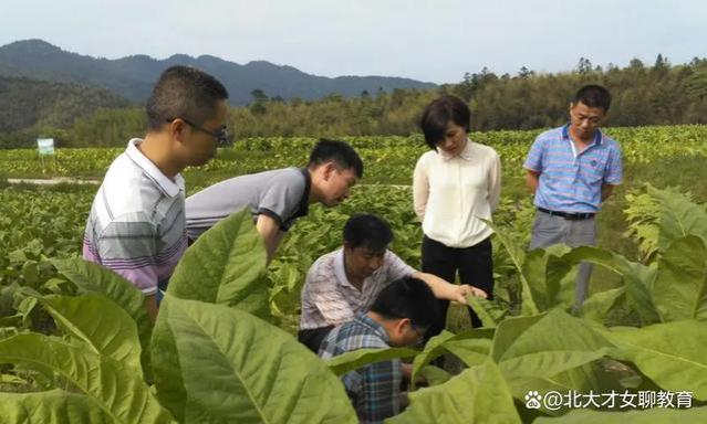 国家出手，垄断式国企就业市场迎来改革，烟二代们慌了！