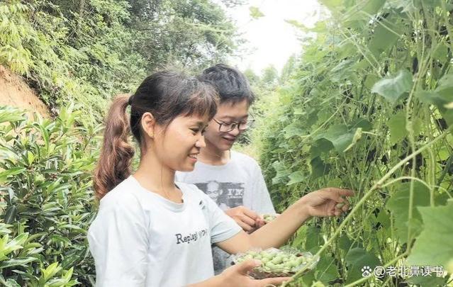 46岁混不了，回村做5种生意，挣钱容易收入不输打工