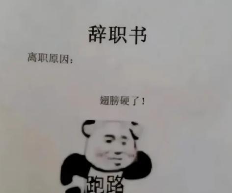 00后毕业生“离职信”走红，理由简单又霸气，老板回复尽显格局