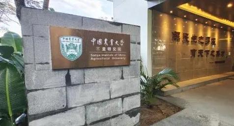 北京被严重高估的985大学，保研率高，就业前景好