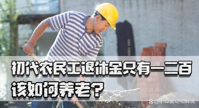 初代农民工如何养老？退休金只有一二百，为何城乡差距如此之大？