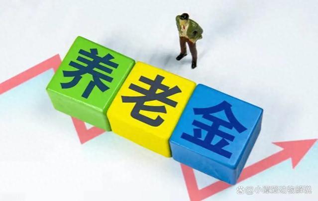 农民养老金迎来好消息，31省的基础养老金哪里更高？排行榜出来了