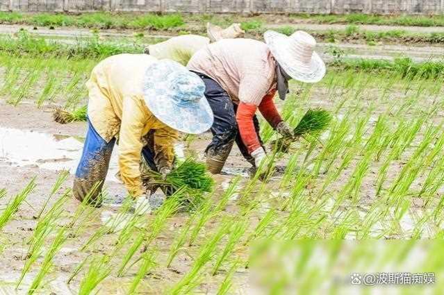 养老金低者大利好：低的多涨，高的不涨或少涨，有的省市已开始！