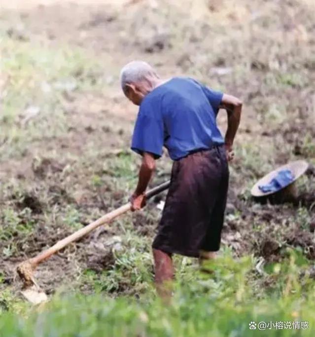 农民60岁退休领退休金专家：制度安排与稳定保障助力农民养老