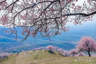 杏花醉人情：河谷中的浪漫春光