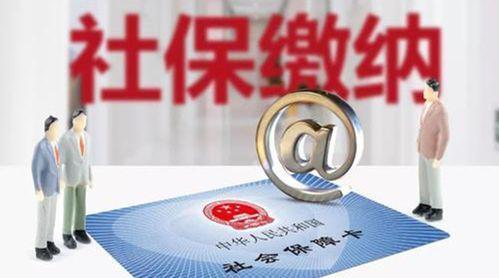 灵活就业人员，每月交850元社保费用，15年后的退休金可以领多少